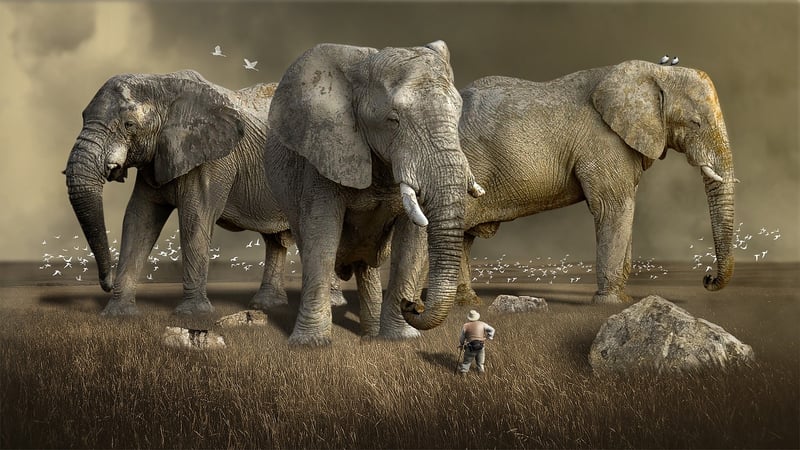 Modern Explorers